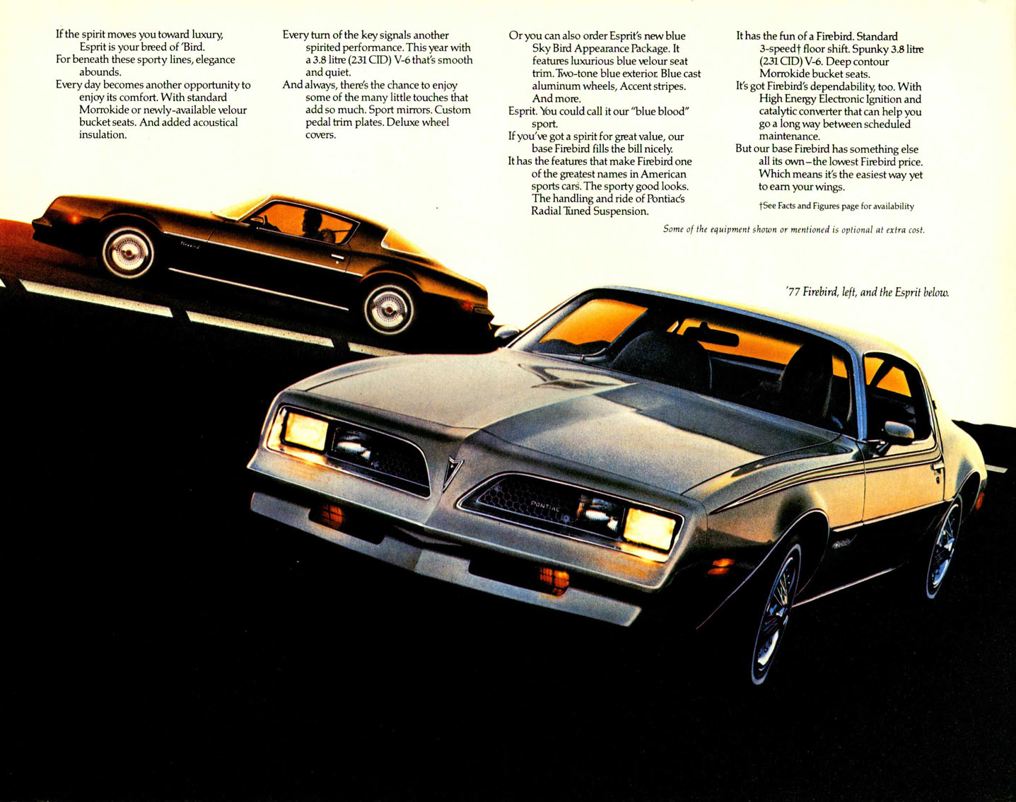 n_1977 Pontiac Firebird (Cdn)-04.jpg